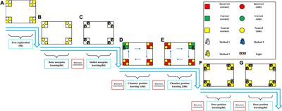 Modulation of GABAB receptors in the insula bidirectionally affects associative memory of epilectic rats in both spatial and non-spatial operant tasks